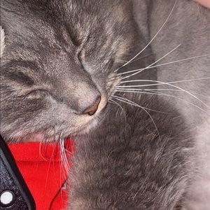 Meet your Posher, Mackenzie